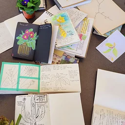 Nature Journaling for Relaxation