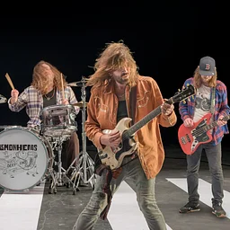 The Lemonheads