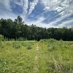Mountain Meadow Preserve