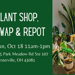 Plant Shop, Swap & Repot