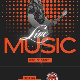 Indianapolis Live Music: Levi Driskell