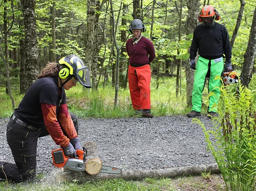Chainsaw Safety Seminar Level 2