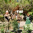 Landscape Foundations: Selecting and Siting Trees and Shrubs
