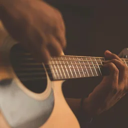 Scituate | Live Music with Carlin Tripp