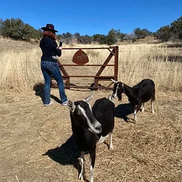 Hike with Goats