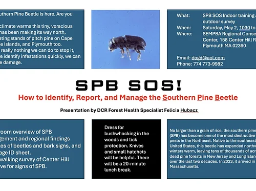 Southern Pine Beetle Training (Plymouth)