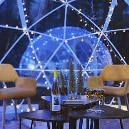 Vine To Wine Igloo Experience