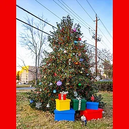 Lakeland for the Holidays