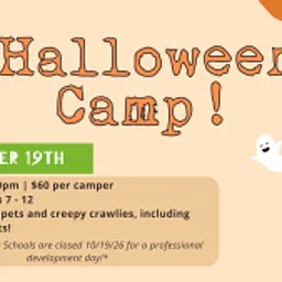 Halloween Camp!
