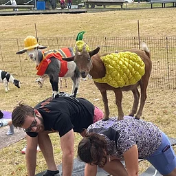 Halloween Goat Yoga @ Overton Park Shell (Copy)