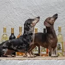Nectar of the Dogs Wine