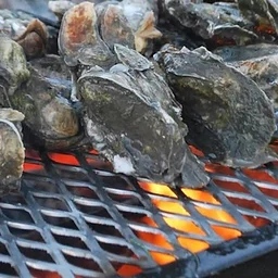 Ducks Unlimited Oyster Roast