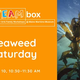 STEAMbox Family Workshop: Simple Machine Magic