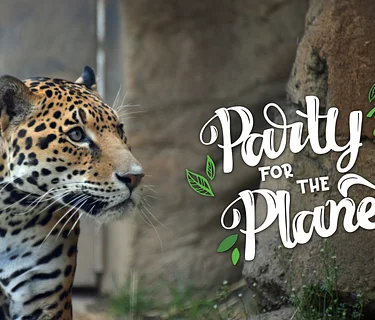 Party for the Planet