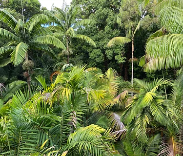 W.S. Merwin: A Talk and Poetry Reading