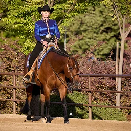 Goldmine Quarter Horse Circuit