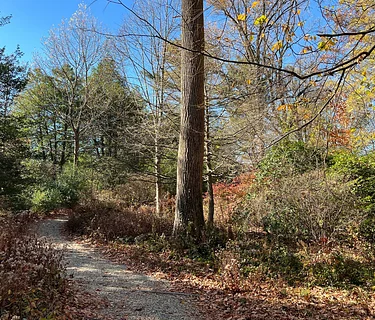 Trail Hike with the Chester County Trail Club