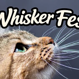 Whisker Fest!
