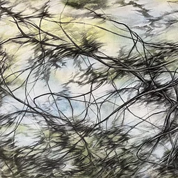 Arborescent Exhibition – All About Trees – Six Artists