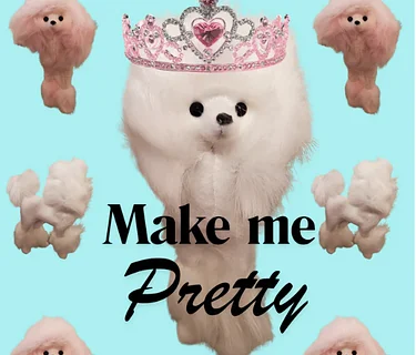 Pretty Pretty Poodle