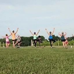 Yoga in the Vineyard with Lotus Root Yoga