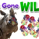 Art Gone Wild
