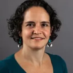 Transforming Schools Webinar: “Stress and the Window of Tolerance”