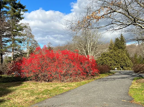 Nature Connection Hike