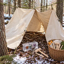 Homeschool STEM Adventure: Frozen in Time