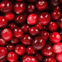 Food Workshop: Celebrate the Cranberry