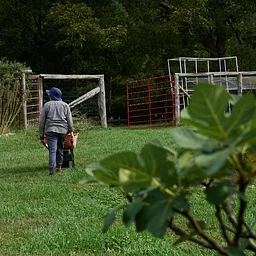 Volunteer Shift: On the Farm