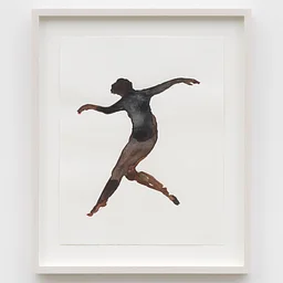 Gallery Talk: Chief Curator Anne Collins Smith on Danielle Mckinney: Shelter
