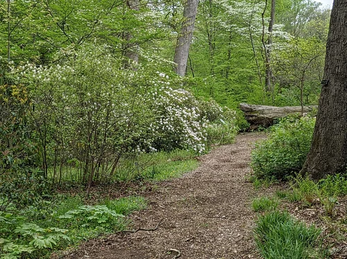 Sunday Tour: Delco’s Changing Ecology