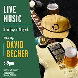 Live Music with David Becher