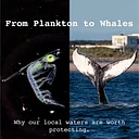 "From Plankton to Whales: Why our local waters are worth protecting" with the Fish Guy, Chris Paparo