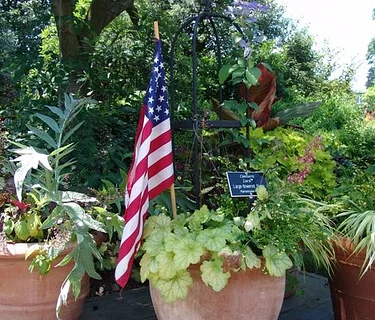 Virtual Lunchtime Tour: Patriotic Plants