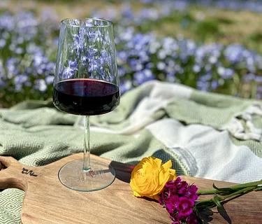 Riverside Reserve: A Wine & Cheese Experience