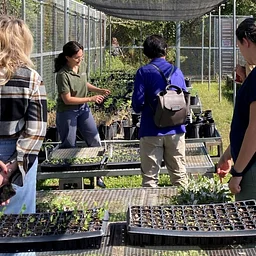 Native Plant Propagation