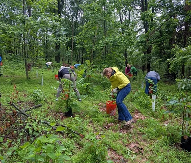 Frick Park Stewardship Days