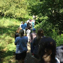 Outreach Event: Musical Trail Walk at Baltimore Woods