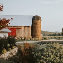 Vineyard Forager’s Hike at North Farm