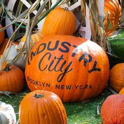 Trick-or-Treat at Industry City