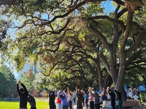 Pilates in the Park