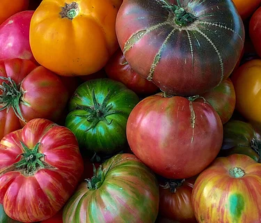 Heirloom Tomato Festival at the Farmer’s Market – Aug. 22nd