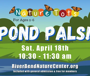 Nature Tots: Pond Pals