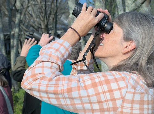 Birding for Beginners