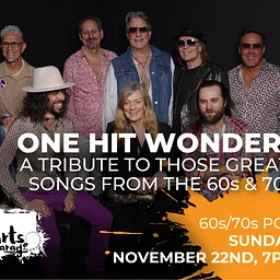 One Hit Wonders