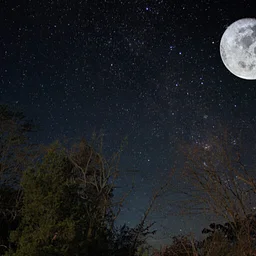 Full “Grain” Moon Night Hike