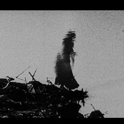 Begotten at Speed Cinema