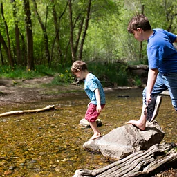Nature Academy · Stream Detectives